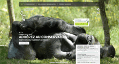 Desktop Screenshot of conservatoire-primates.com
